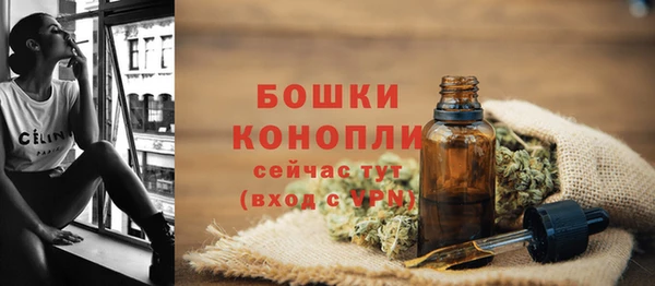 ГАЛЛЮЦИНОГЕННЫЕ ГРИБЫ Тайга
