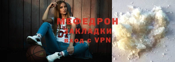 ГАЛЛЮЦИНОГЕННЫЕ ГРИБЫ Тайга