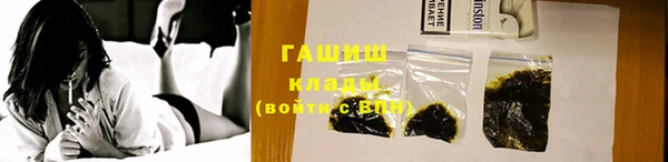 ГАЛЛЮЦИНОГЕННЫЕ ГРИБЫ Тайга