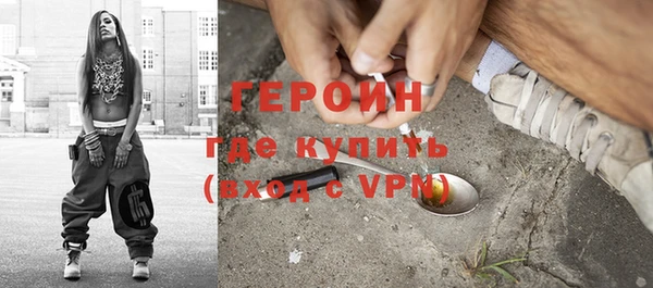 ГАЛЛЮЦИНОГЕННЫЕ ГРИБЫ Тайга