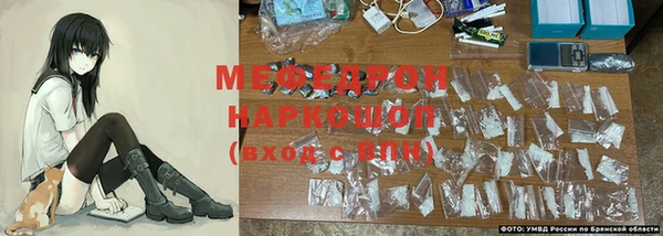 ГАЛЛЮЦИНОГЕННЫЕ ГРИБЫ Тайга