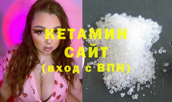 ГАЛЛЮЦИНОГЕННЫЕ ГРИБЫ Тайга